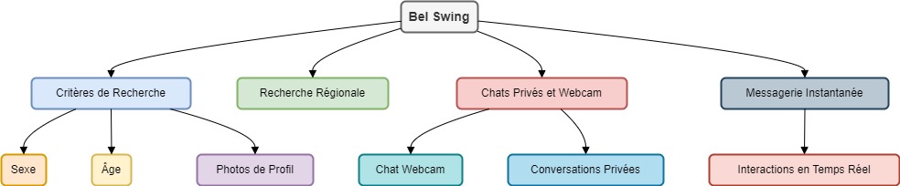 BelSwing Diagram